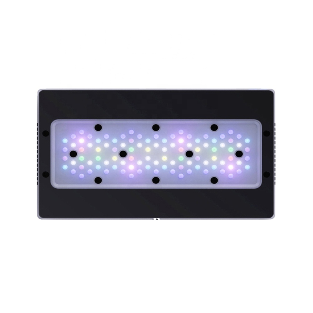 Reef Lighting - A8SE II Max Ve Blue 240W