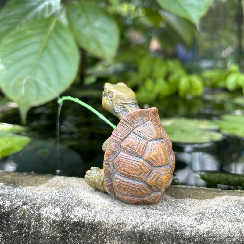 Kaplumbağa Balık Tankı Akvaryu - Marine Fish Tank incelemesi ve fiyatı
