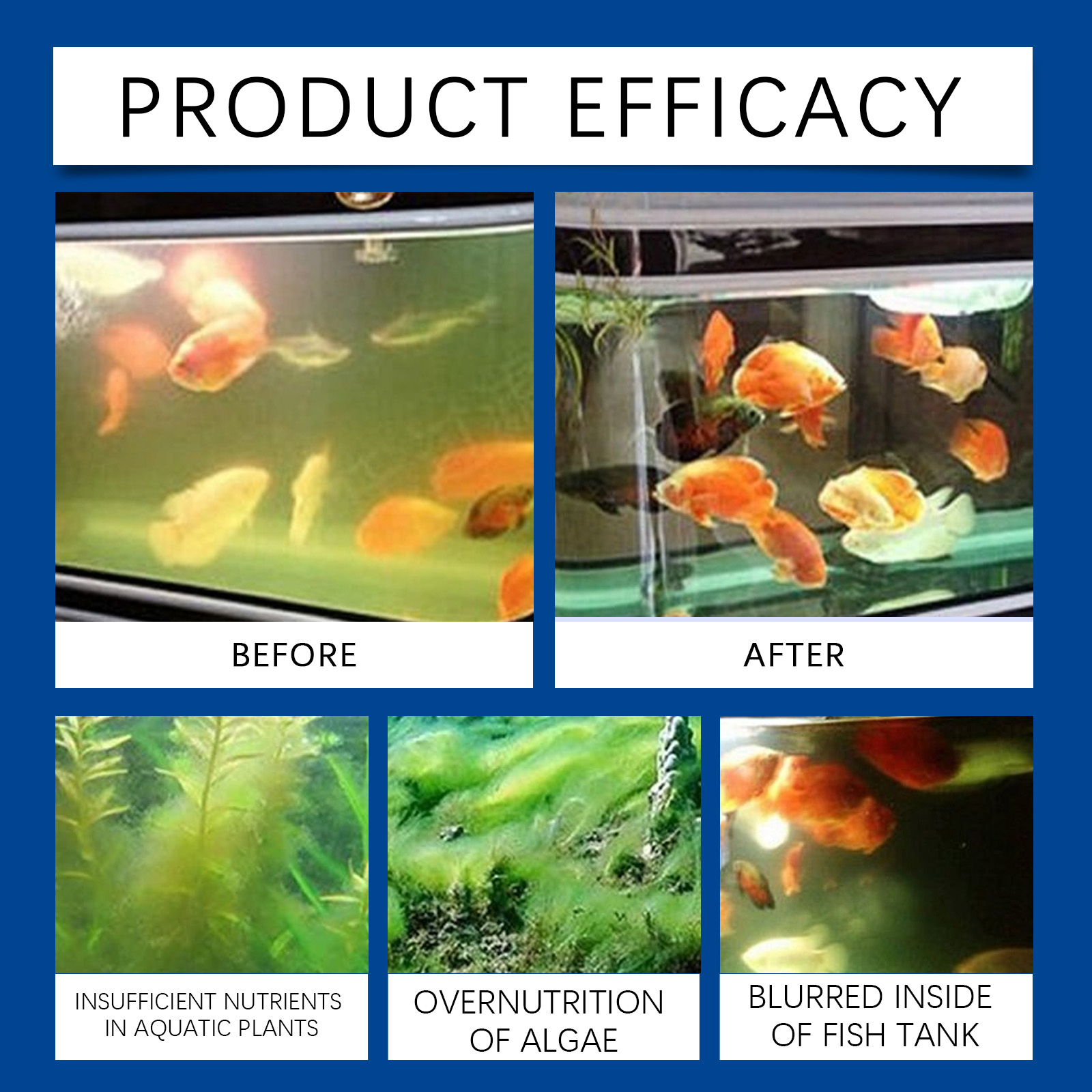 Akvaryum Su Arıtma Cihazı 100  - Saltwater Tank incelemesi ve fiyatı