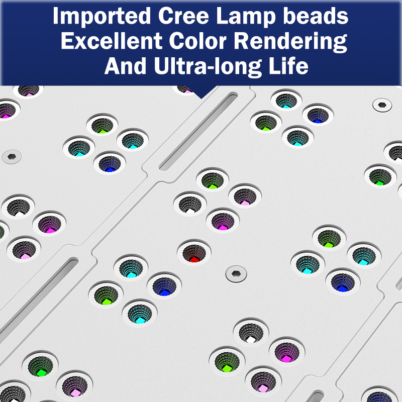T169 Tam Kapsamlı 169W Düz Pan - Reef Lighting incelemesi ve fiyatı