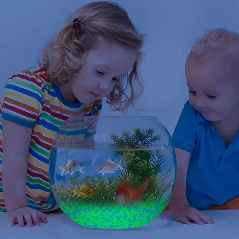 1000 adet 3-5mm Aydınlık Kum K - Marine Fish Tank incelemesi ve fiyatı