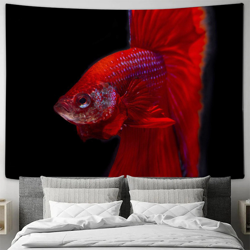 Canlı kırmızı Betta balığı gob - Ocean Aquarium incelemesi ve fiyatı