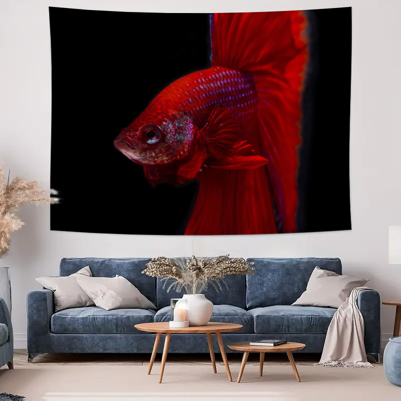 Canlı kırmızı Betta balığı gob - Ocean Aquarium incelemesi ve fiyatı