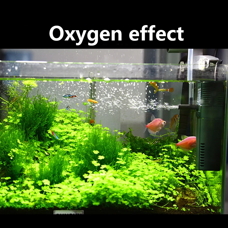 SUNSUN Mini Nano 111B 311B 611 - Reef Tank Filter incelemesi ve fiyatı